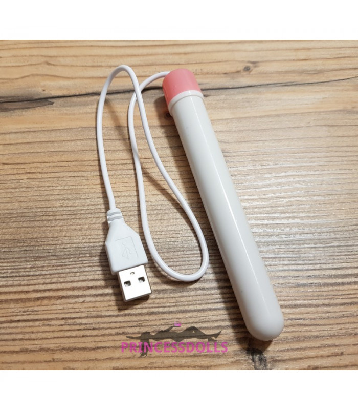 "USB Heating Rod: Efficient, Portable Heating Solution for All Needs"