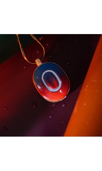 Vine Talk AIBOX - Intelligente KI-Halskette für alle Sexpuppen