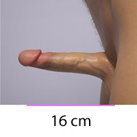 Penisgrösse 16 cm