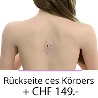 Rückseite des Körpers