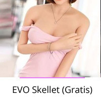 Evo Skellet