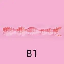 B1