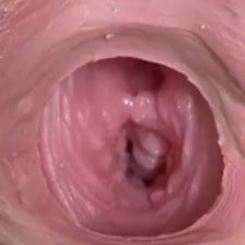 Ultraweiche innere Vagina