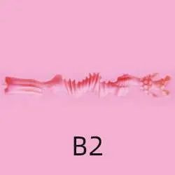 B2