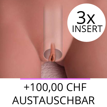 austauschbar 3 x Insert +100,00 CHF