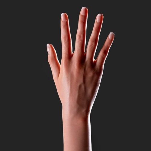 Harte Hand (+CHF100.00)