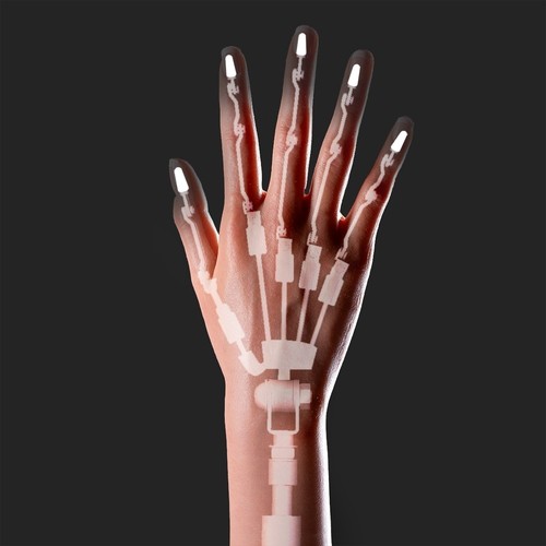 Gelenkige Hand mit Kappen (+CHF150.00)